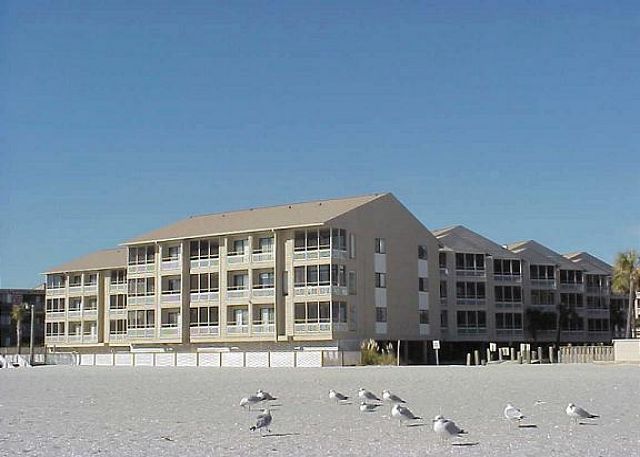 Pelicans Watch Myrtle Beach: A Comprehensive Guide for Travelers